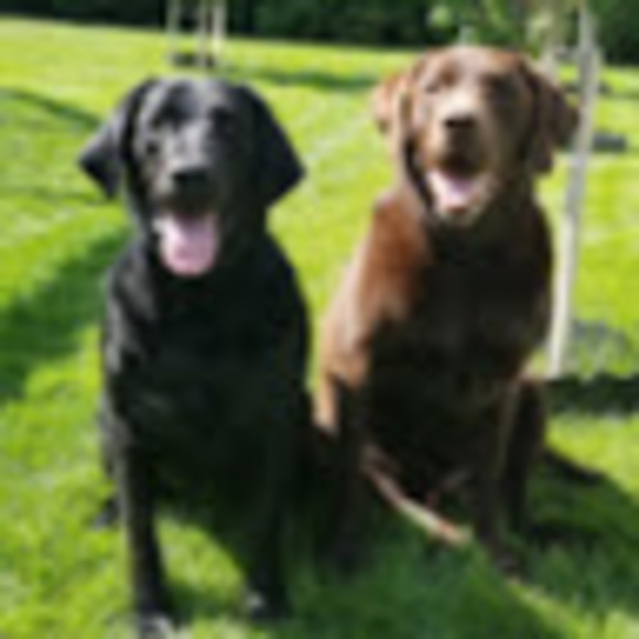 Meet your Posher, Danika - Picture 1 of 1